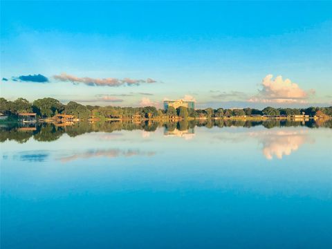 5111 VINSON DRIVE TAMPA FL 33610