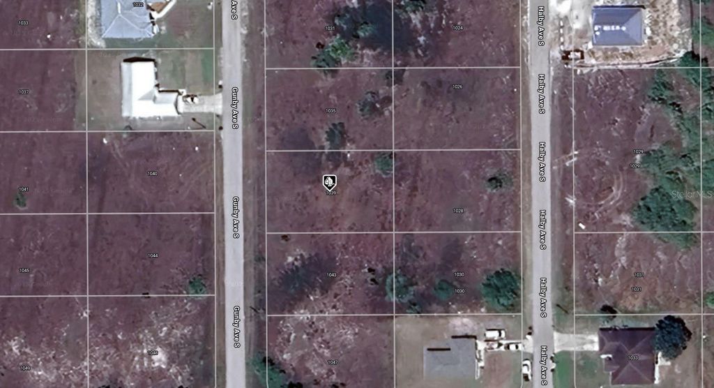 Photo of 1039 Gunby Avenue S, Lehigh Acres, FL 33974 (MLS # A4671152)