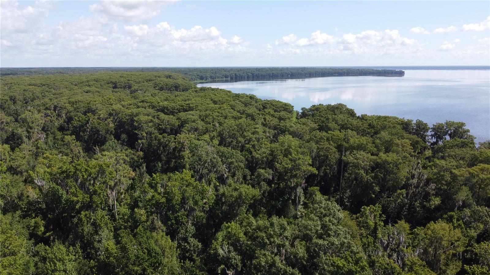 Part of a 3-parcel assemblage spanning Newnans Lake lakefront from Earl Powers Park to Lake Shore Drive. Assemblage also includes direct access to SE Hawthorne Road. The following additional parcels are included:
18000-000-000: 20 acres, $100,000. MLS: GC525202
18003-000-000: 7 acres, $159,732. MLS: GC525484
All three parcels can be purchased individually or the whole assemblage can be purchased at a bulk discounted price. Please contact agent directly to discuss plans and terms. Also see the attachments for a full brochure will relevant information.
Perfect fishing and hunting land just 5 miles from Gainesville!
This beautiful 54-acre piece of land has waterfront access right on Newnans Lake and directly borders the Newnans Lake Boat Ramp. Approximately 52 acres are swampland, serving as the perfect conservation land! Motivated seller, all offers will be entertained!
When scouting or viewing the property, please be very conscious of the parcel boundaries. Due to its irregular shape, it can be easy to mistake the property lines. The sign is not directly next to the property because it doesn't border the highway; it's about 50 feet in from the treeline.
It will not be obviously clear where the property lines begin and end, so please call for more information and/or take explicit note of the parcel boundaries on a map.