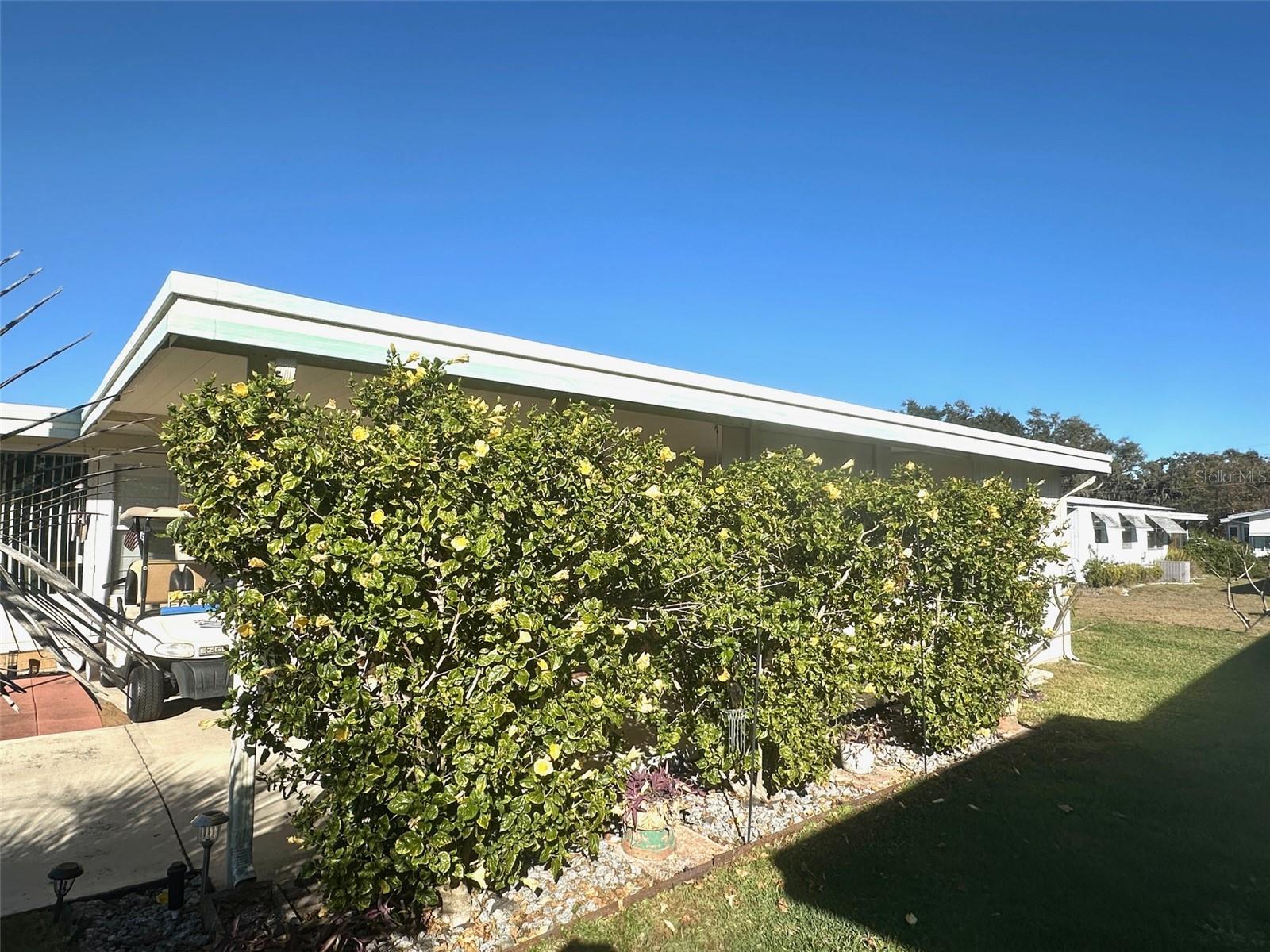 HAWTHORNE AT LEESBURG A COOP - Residential