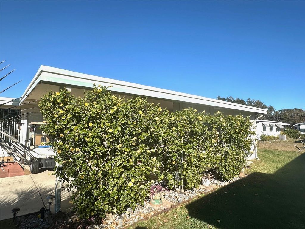 Photo of 428 Palo Verde Drive, Leesburg, FL 34748 (MLS # G5107503)