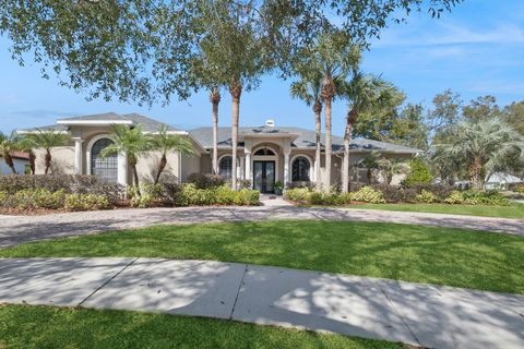 A home in MOUNT DORA