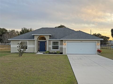 Photo of 13642 Citrus Farms Drive, Astatula, FL 34705 (MLS # O6367579)