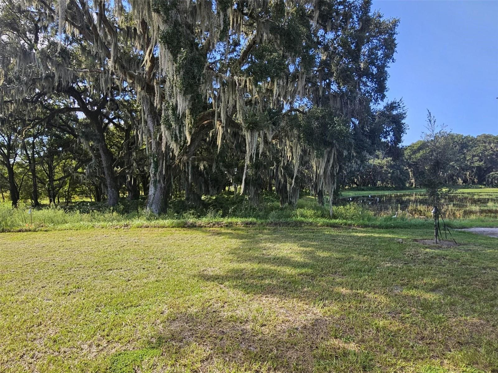 TWISTED OAKS - Residential