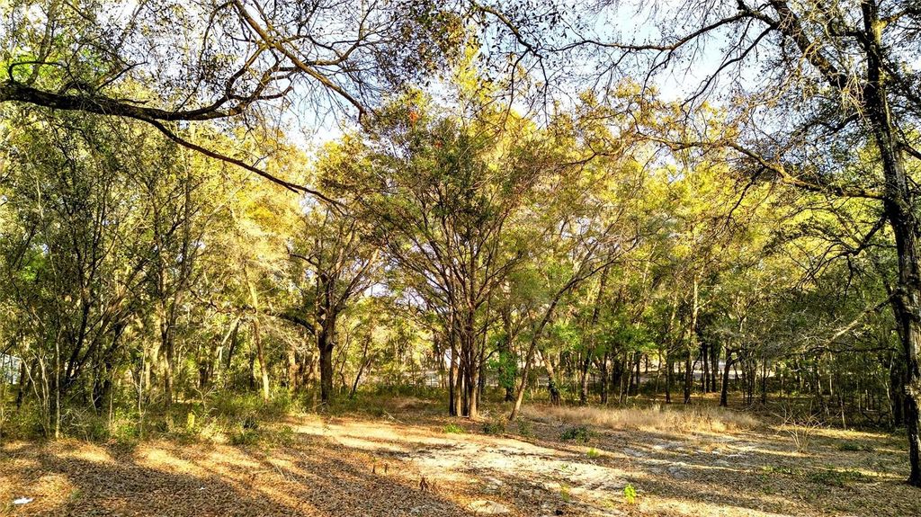 Photo of SE 180th Street, Weirsdale, FL 32195 (MLS # OM719049)