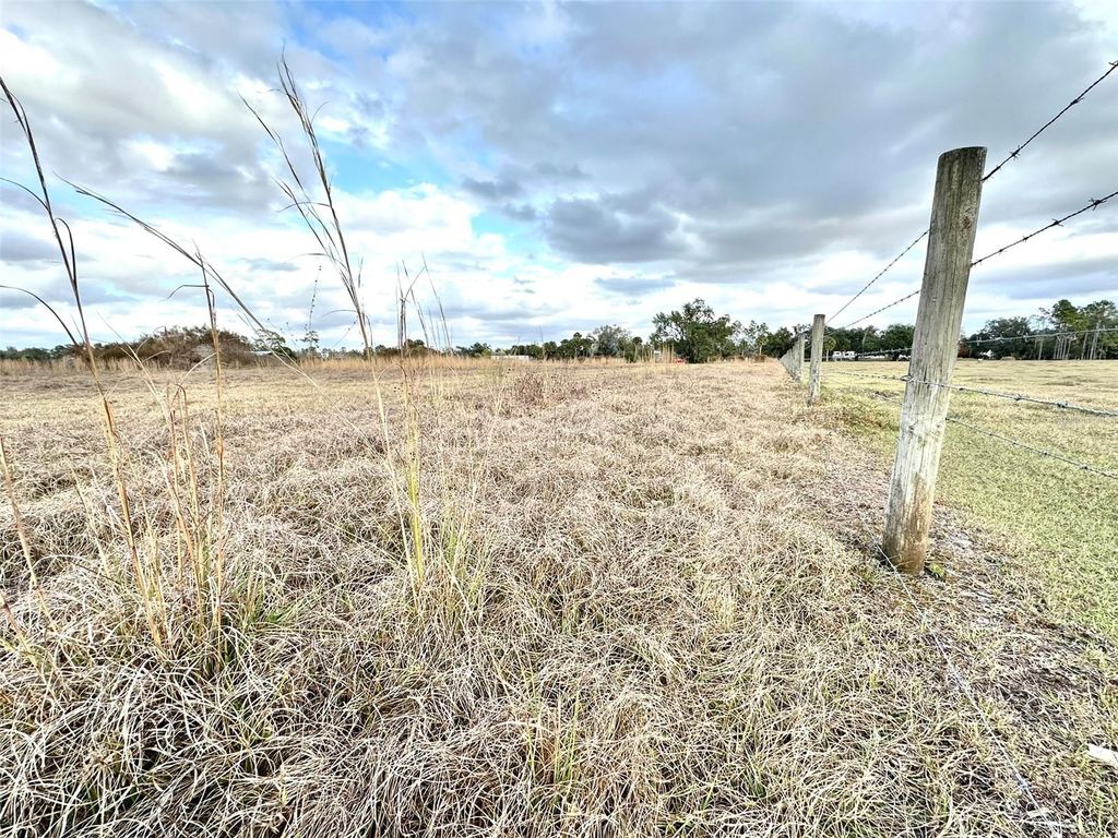 Photo of 14780 Sugar Bowl Road, Myakka City, FL 34251 (MLS # TB8465950)