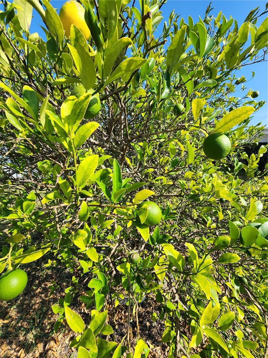 MAINLANDS OF TAMARAC BY THE GULF UNIT 3 CONDO - Residential