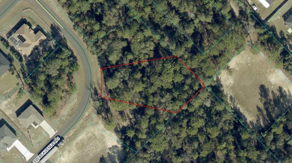 ADDRESS PRIVATE, OCALA, FL  - Image 7cd95f2c7563388d1b95e3bc3d42d8ad/3427957459