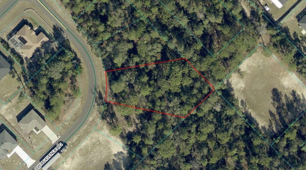 Photo of 4 SW 64th Ave Road, Ocala, FL 34473 (MLS # OM734200)