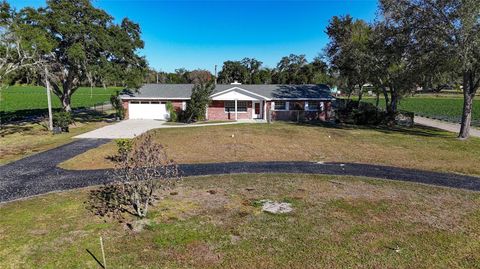 Photo of 15108 Sydney Road, Dover, FL 33527 (MLS # TB8467087)