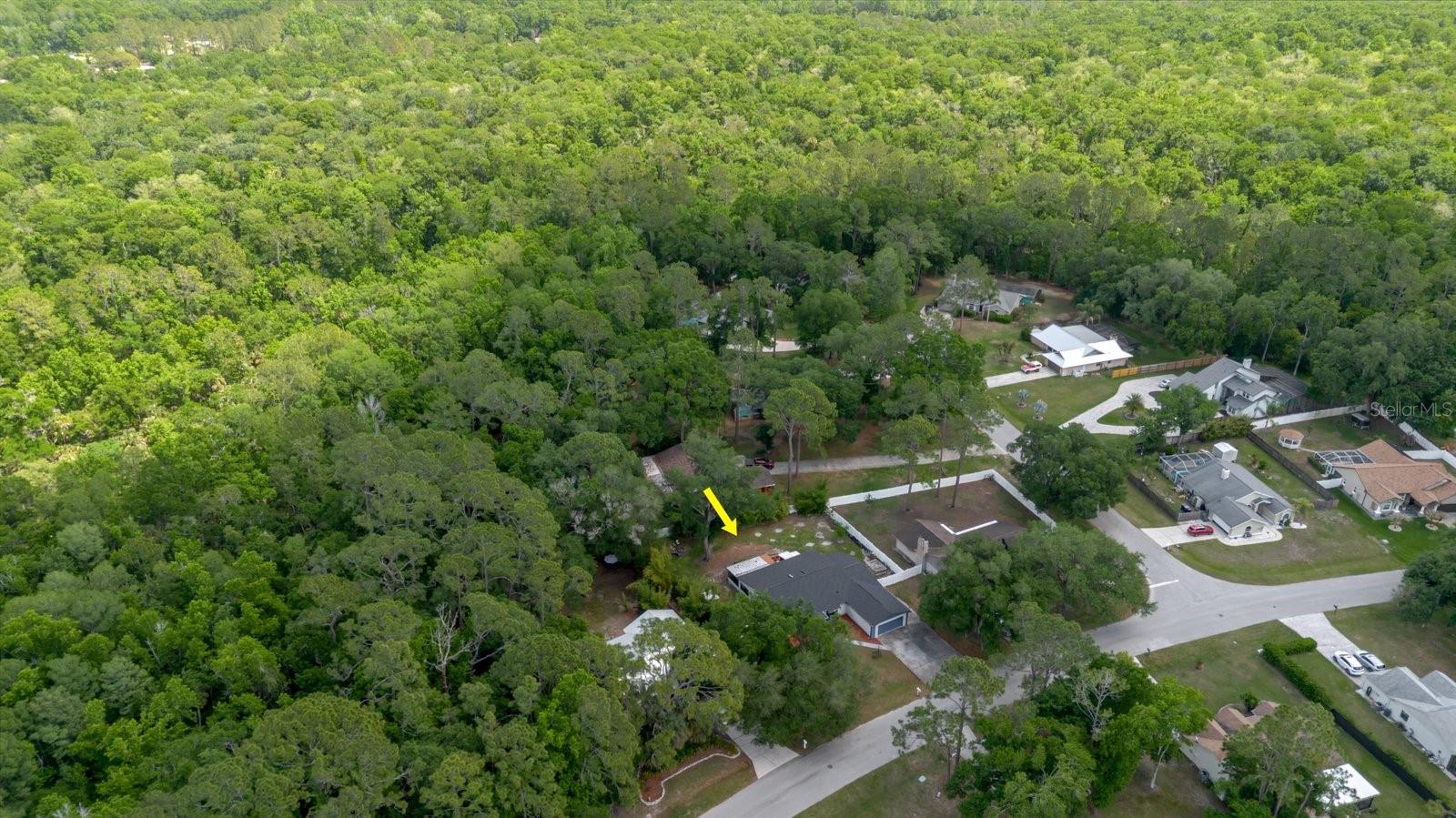 LAKE PADGETT PINES - Residential