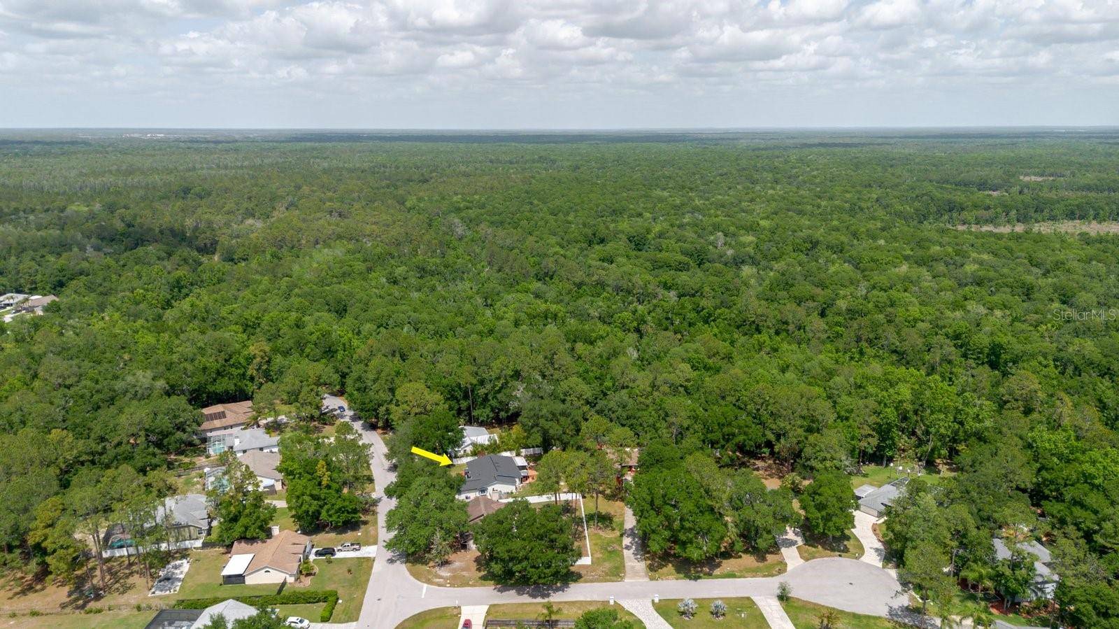 LAKE PADGETT PINES - Residential