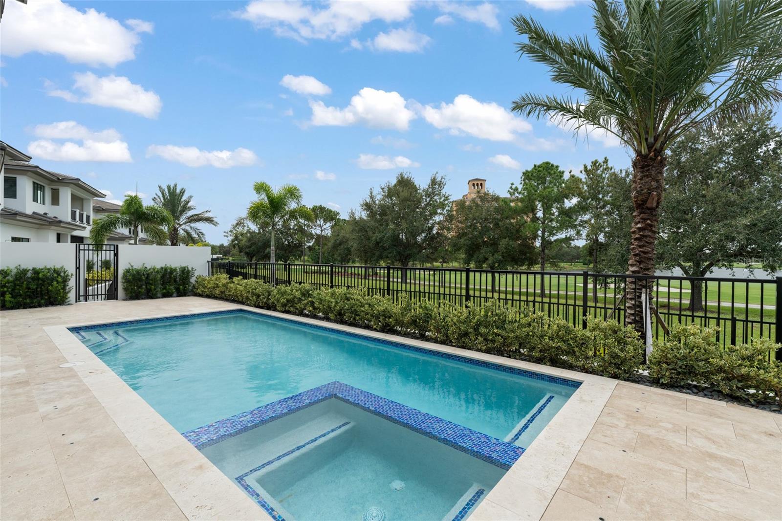RITZ-CARLTON RESIDENCES, ORLANDO - Residential