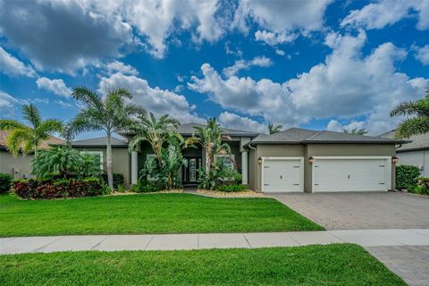 3815 GAVIOTA DRIVE SUN CITY CENTER FL 33573