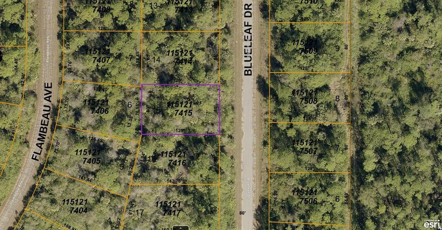 No HOAs with fees or deed restrictions or CDDs. Not on the North Port Scrub Jay list 06/30/23 - please reconfirm during due diligence. North Port is the 7th largest land mass in Florida-the 110th largest in the country!! The growth and potential are absolutely amazing. Conveniently located to shopping, dining, parks, and all that up and coming North Port has to offer (where so much of the city is new and still being built!) including the new Braves Spring Training Stadium. Many beaches located within a 35 minute drive from this lot. New construction is everywhere you look and you can be part of the action. Information about local builders is available upon request. Also great for self directed IRAs, 401Ks and other investment portfolios.