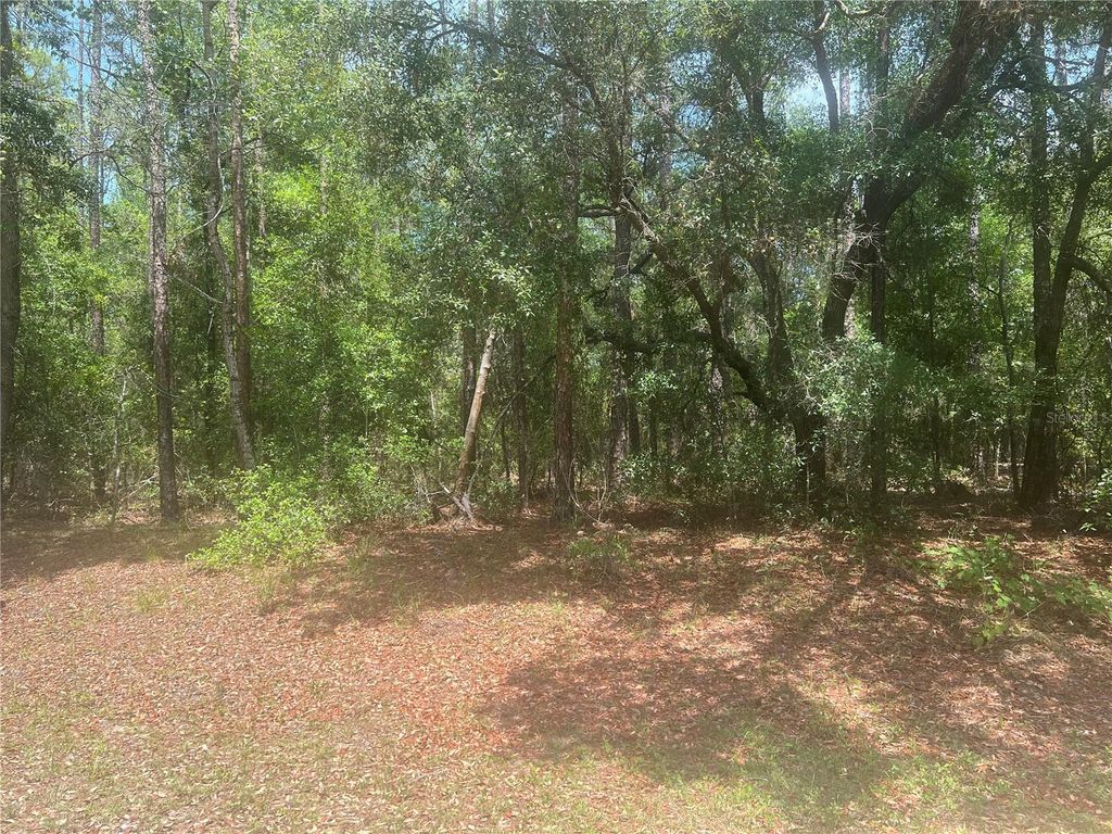 Photo of 8729 N Wallingford Avenue, Dunnellon, FL 34434 (MLS # G5097166)
