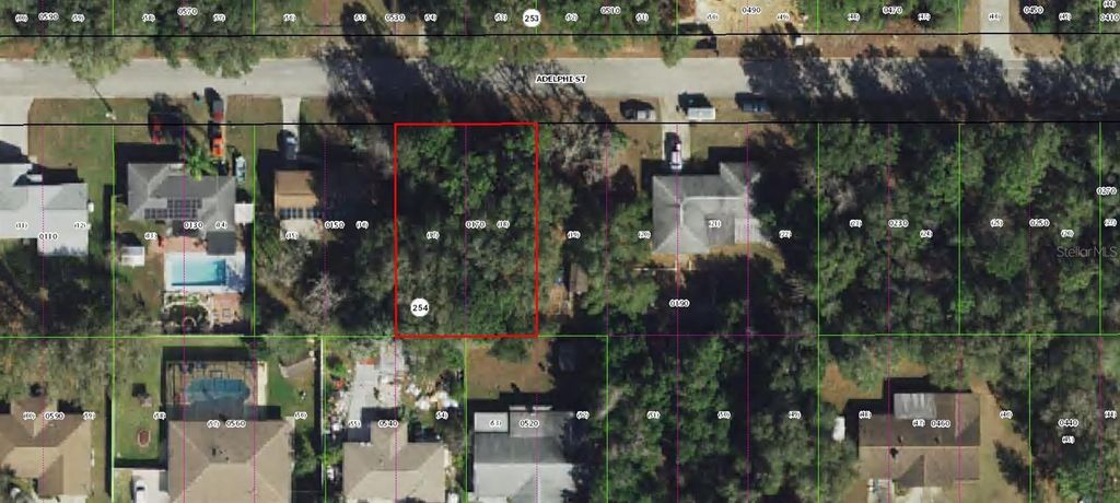 Photo of 213 Adelphi Street, Inverness, FL 34452 (MLS # TB8386199)