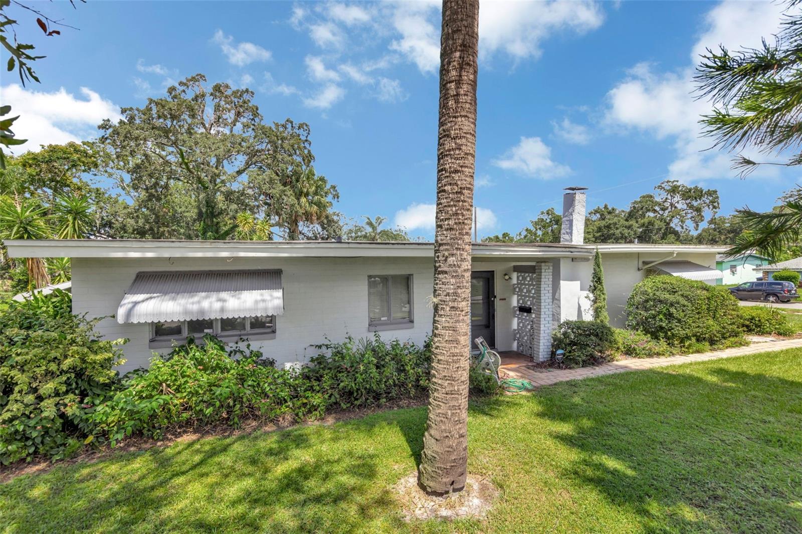 1905 W AMELIA STREET