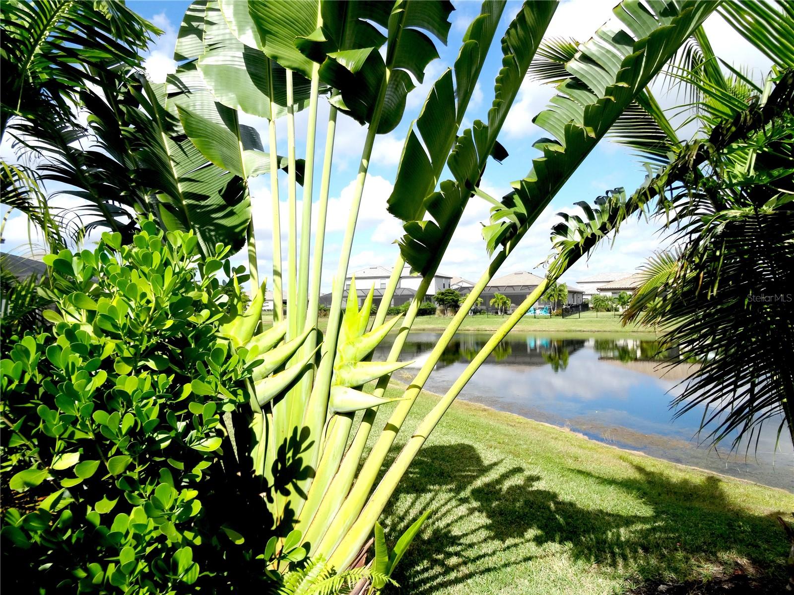 LORRAINE LAKES PH IIB-3 & IIC - Residential