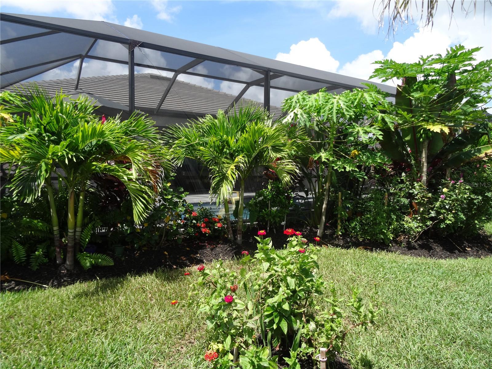 LORRAINE LAKES PH IIB-3 & IIC - Residential