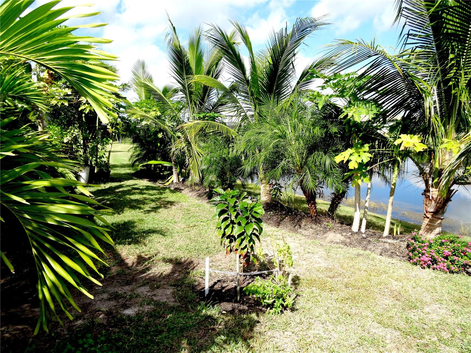 LORRAINE LAKES PH IIB-3 & IIC - Residential