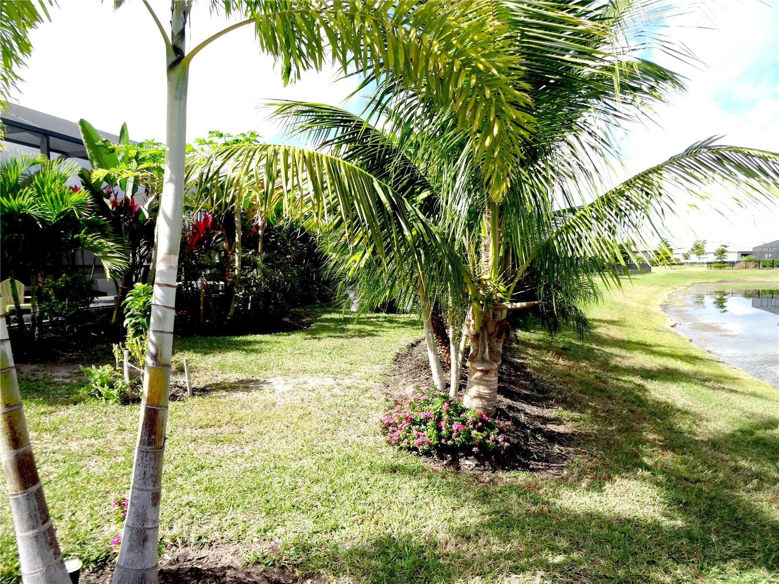 LORRAINE LAKES PH IIB-3 & IIC - Residential