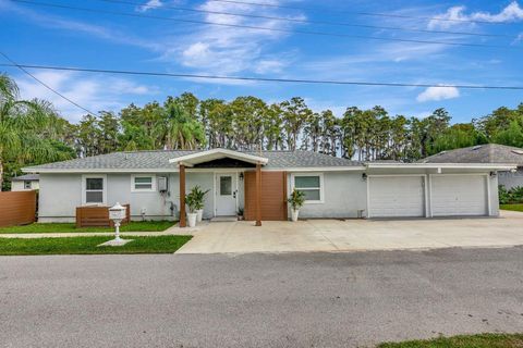19207 CROOKED LANE LUTZ FL 33548