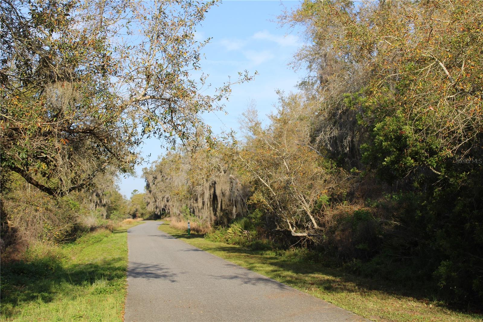 DOYLE ROAD