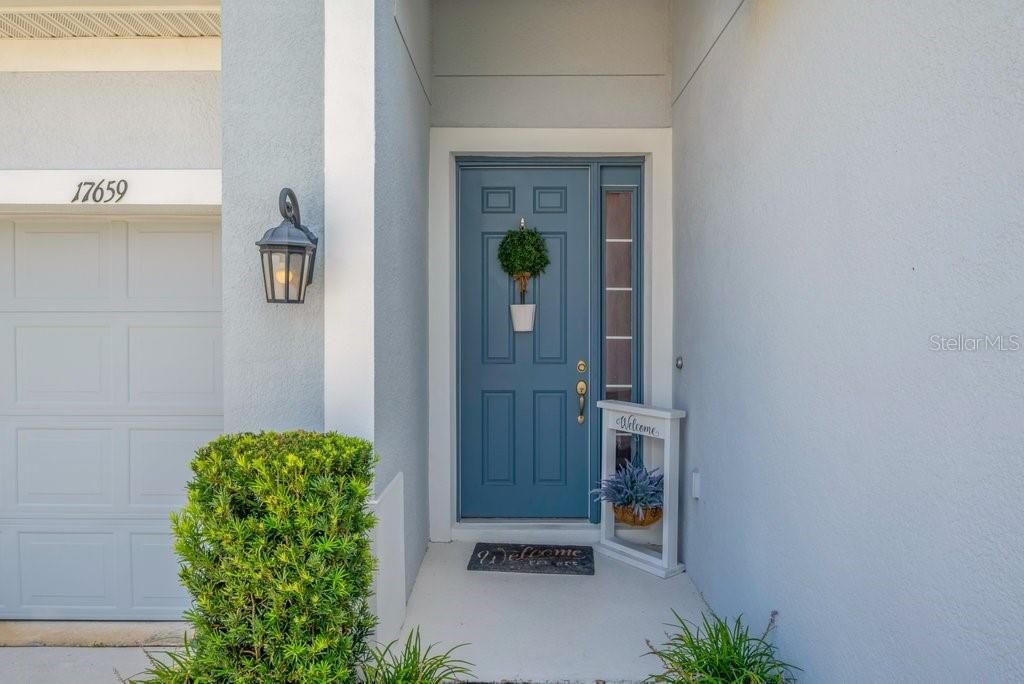 Photo of 17659 Bright Wheat Drive, Lithia, FL 33547 (MLS # TB8418363)