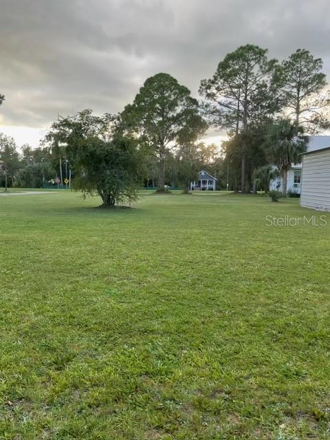 517 CENTRAL AVENUE SE