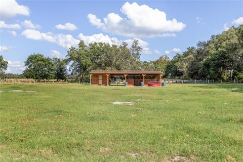 Tiny photo for 11999 County Road 223, Oxford, FL 34484 (MLS # OM712227)