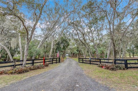 255 BUTTERFLY FOREST ROAD GENEVA FL 32732