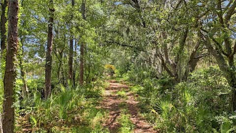 Tiny photo for 1304 De La Garza Place, The Villages, FL 32162 (MLS # O6431959)