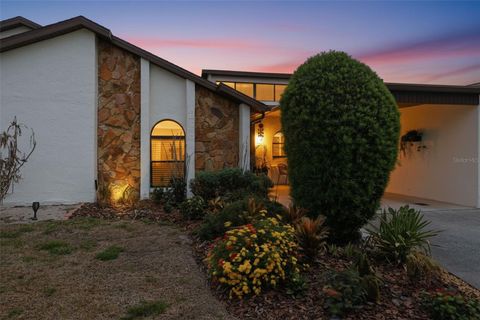 Photo of 9143 Lingrove Road, Weeki Wachee, FL 34613 (MLS # TB8505085)