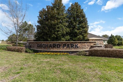 Photo of 3089 Irish Peach Drive, Winter Garden, FL 34787 (MLS # S5145627)