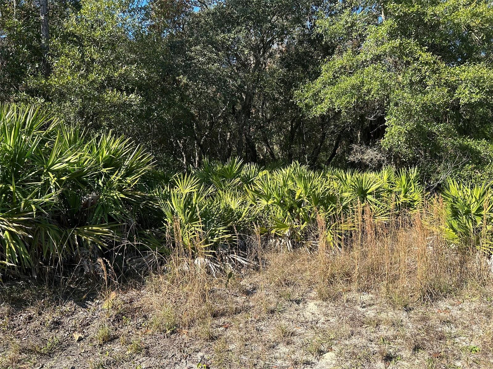 CRYSTAL PARADISE ESTATES UNIT 01 - Land