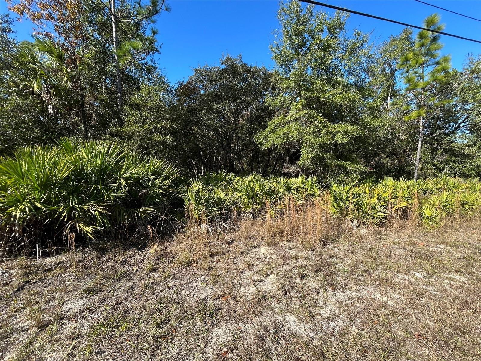 CRYSTAL PARADISE ESTATES UNIT 01 - Land