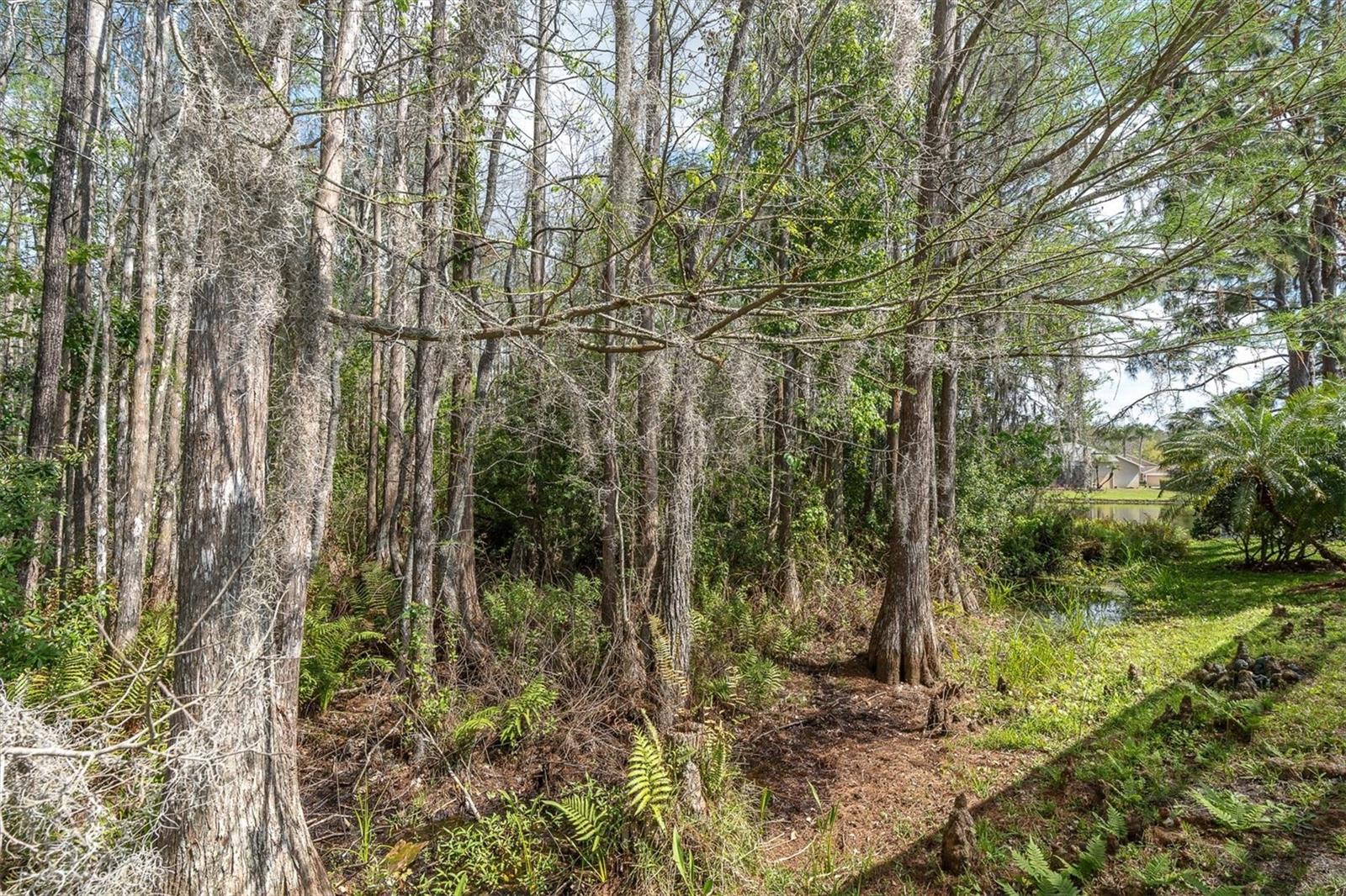 TRINITY OAKS SOUTH - Residential