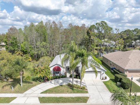 Photo of 1122 Maravista Drive, Trinity, FL 34655 (MLS # W7883733)