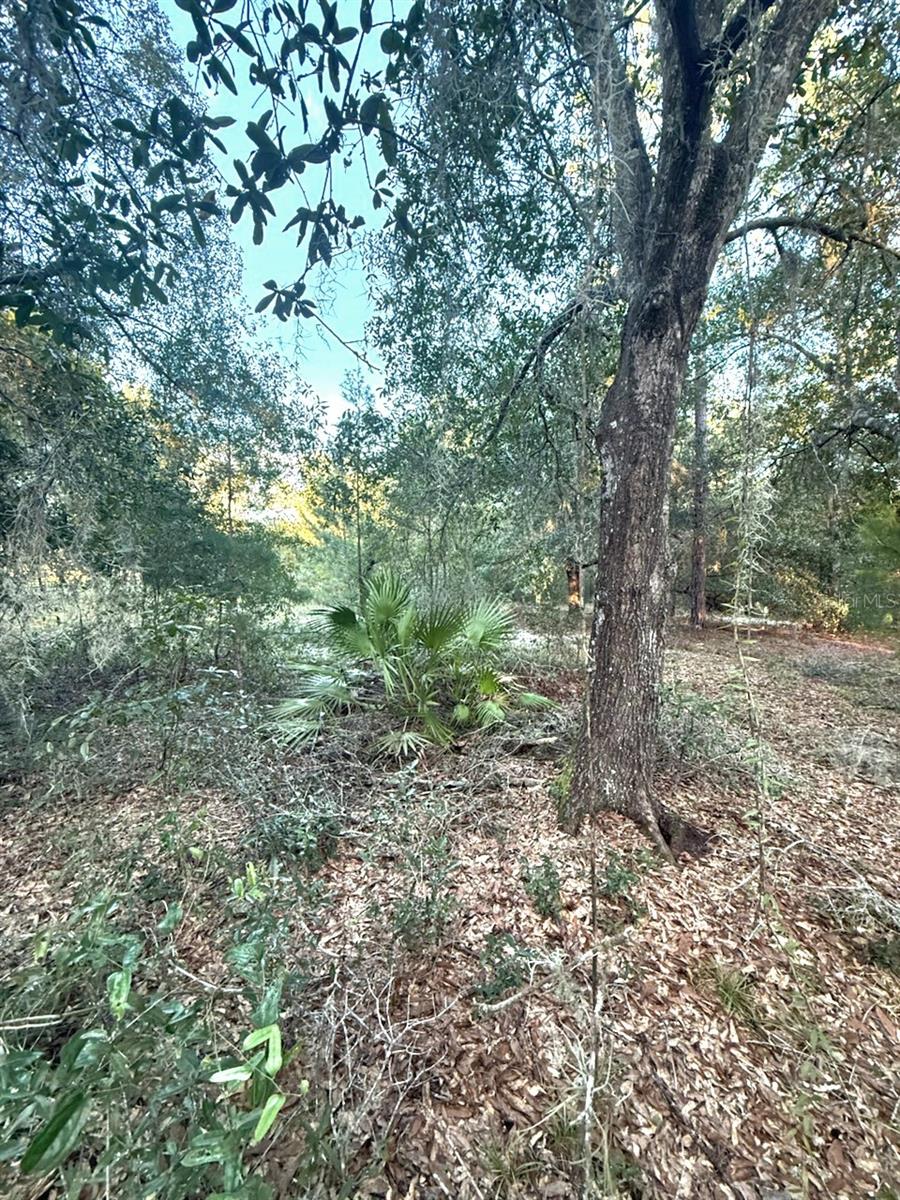 INTERLACHEN LAKES ESTATES - Land