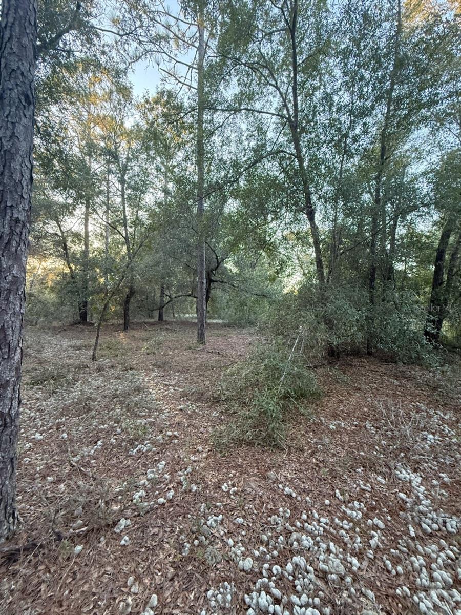 INTERLACHEN LAKES ESTATES - Land