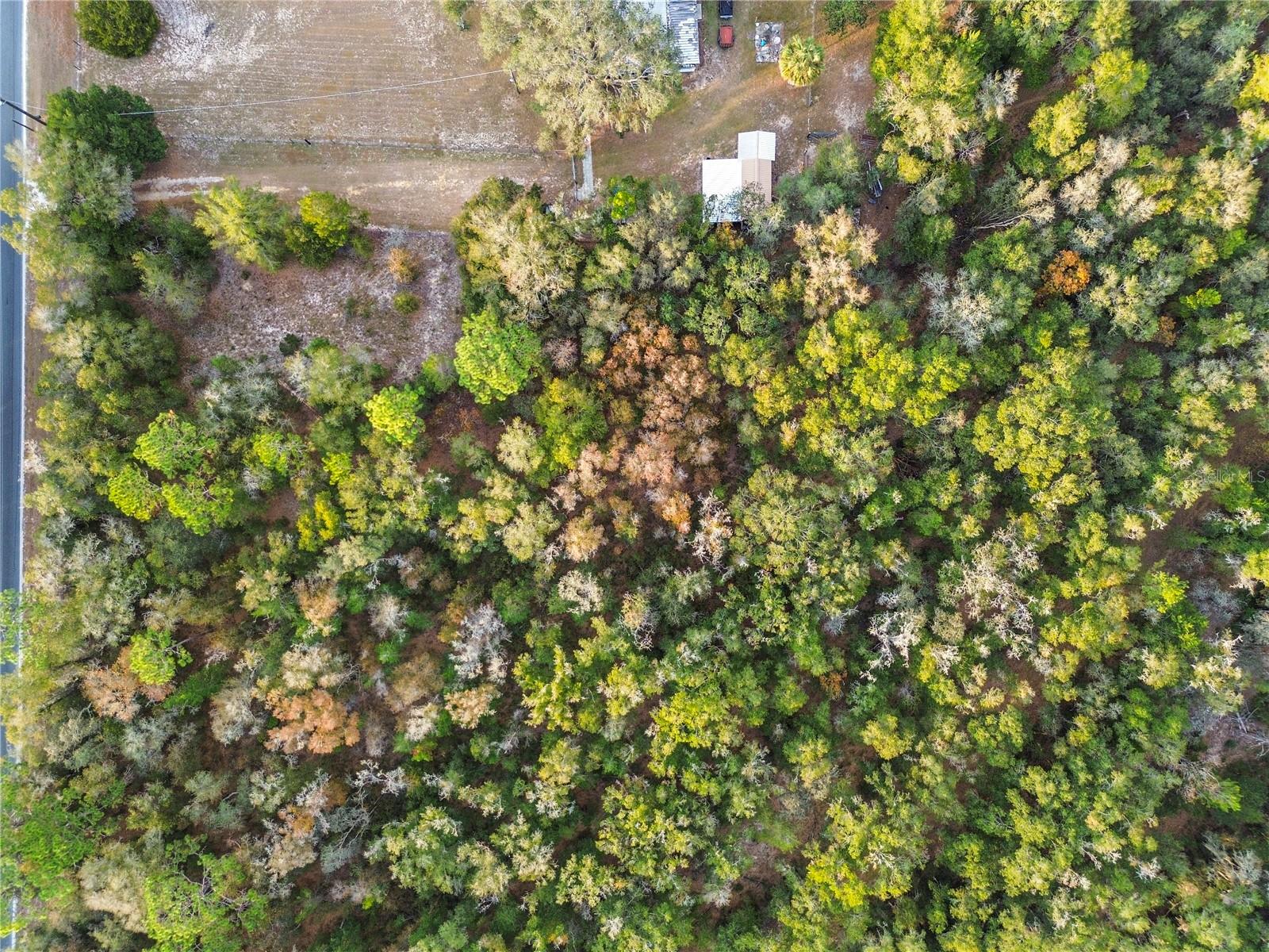 INTERLACHEN LAKES ESTATES - Land