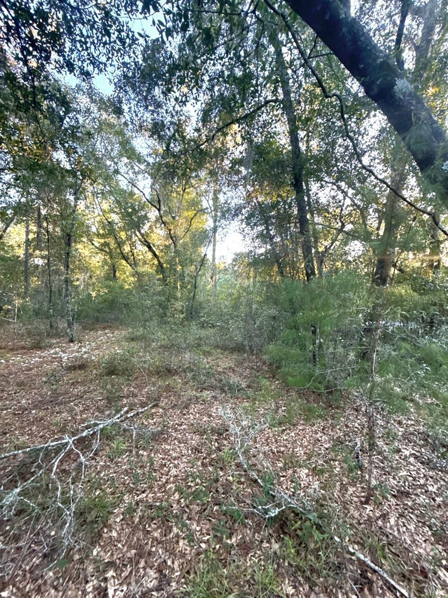 INTERLACHEN LAKES ESTATES - Land