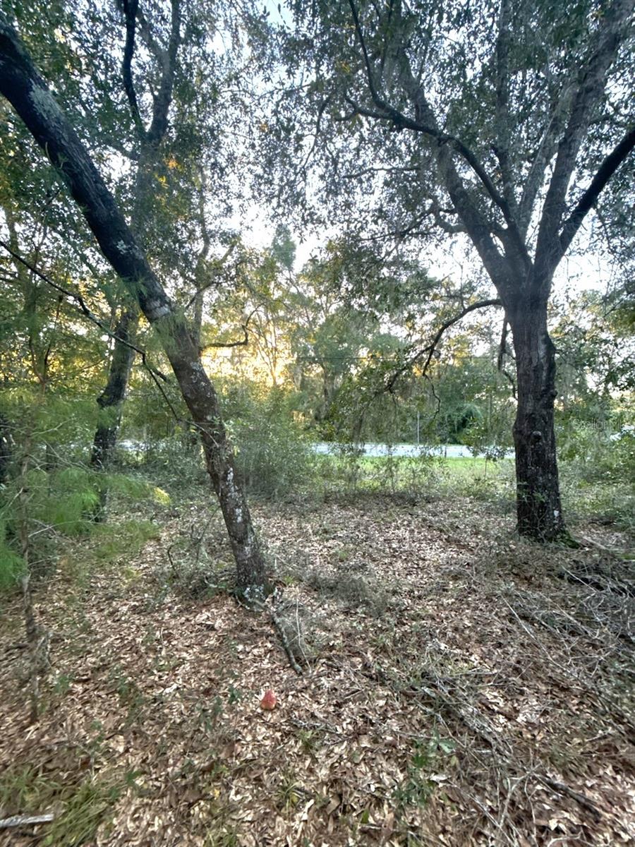 INTERLACHEN LAKES ESTATES - Land