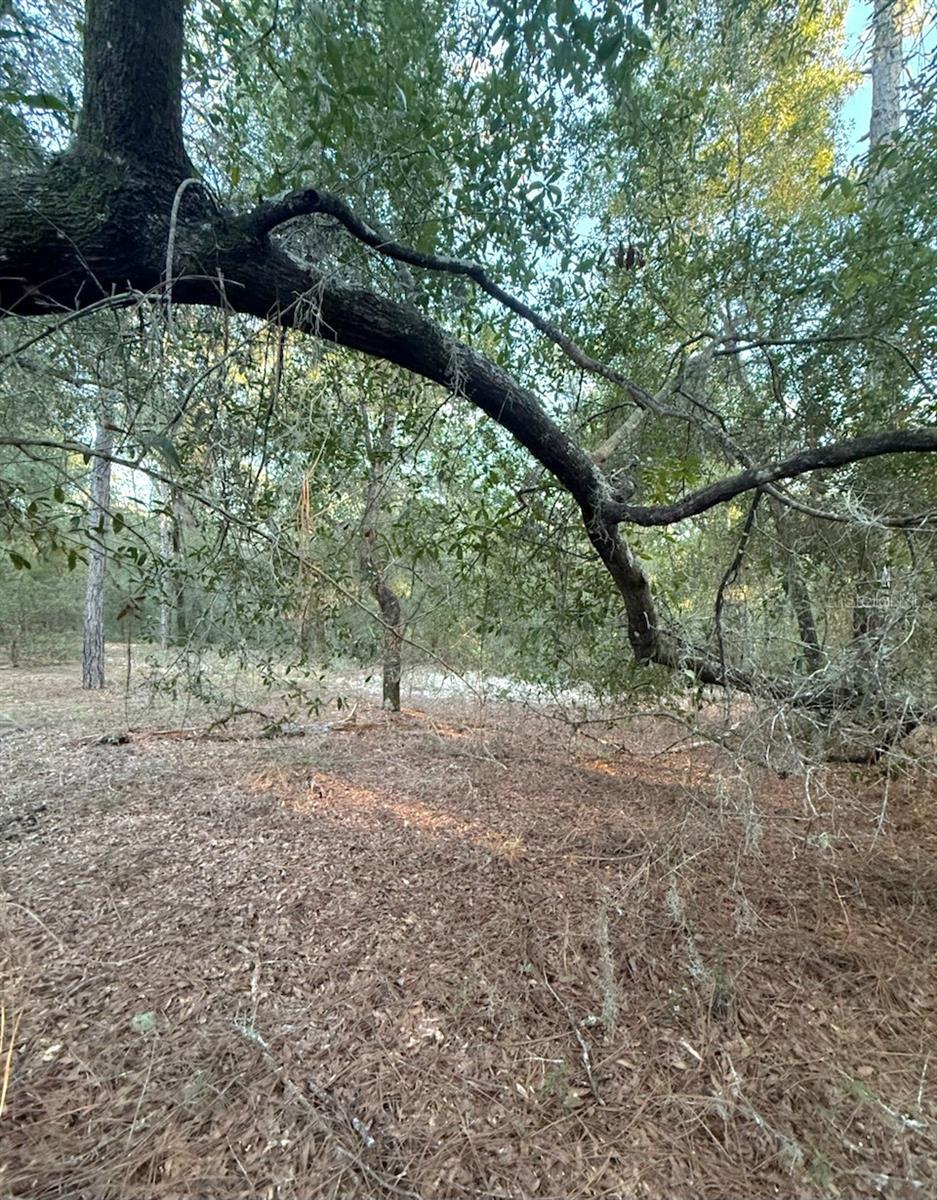 INTERLACHEN LAKES ESTATES - Land