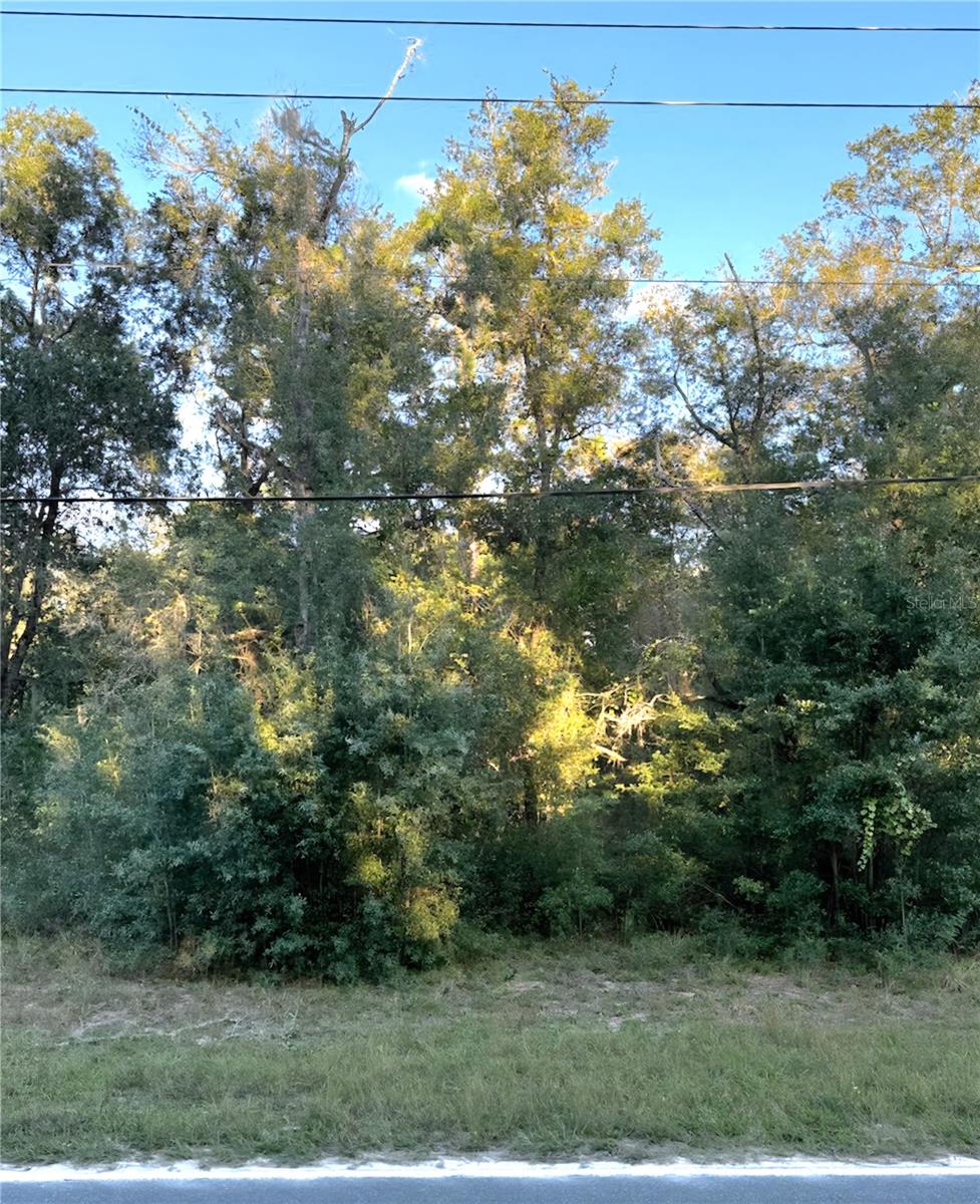 INTERLACHEN LAKES ESTATES - Land