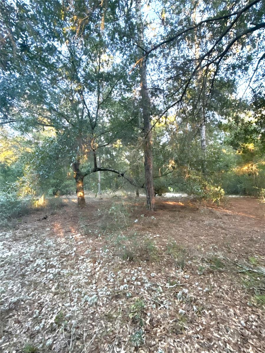 INTERLACHEN LAKES ESTATES - Land