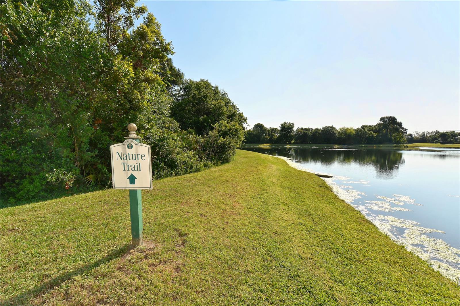 UNIVERSITY PLACE - Residential