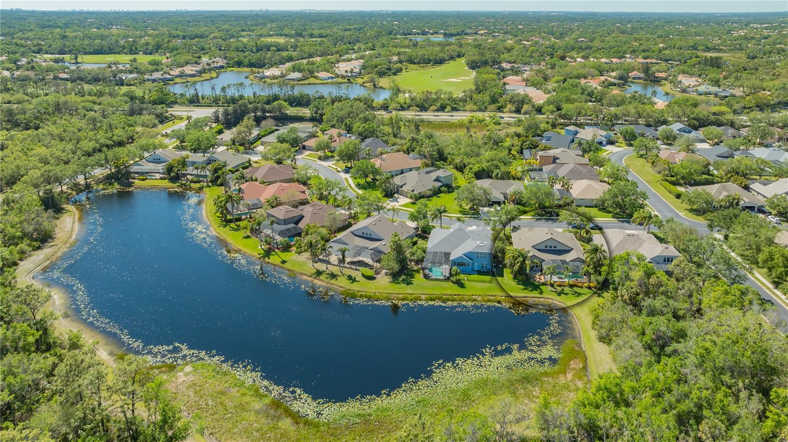 UNIVERSITY PLACE - Residential