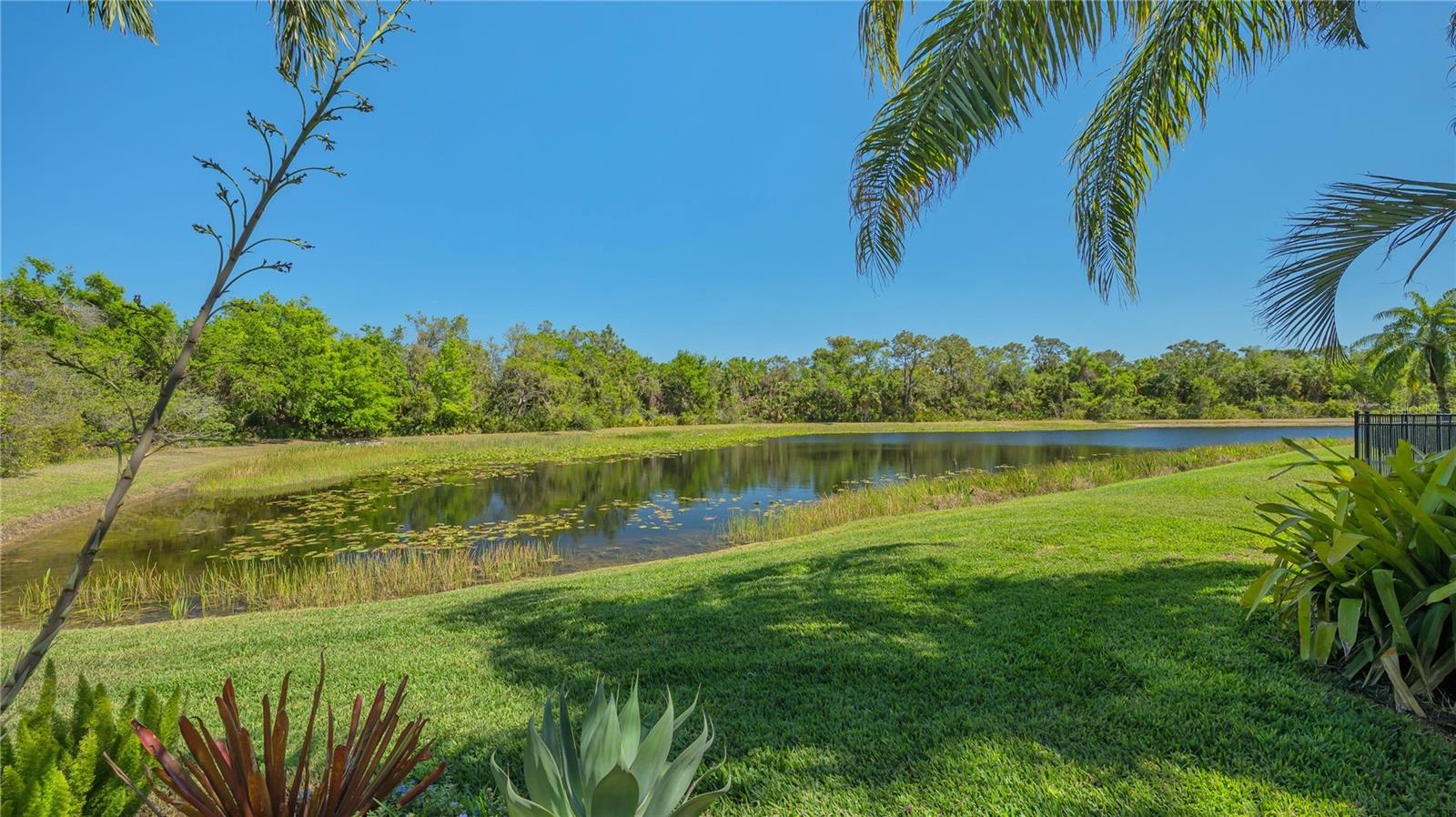 UNIVERSITY PLACE - Residential